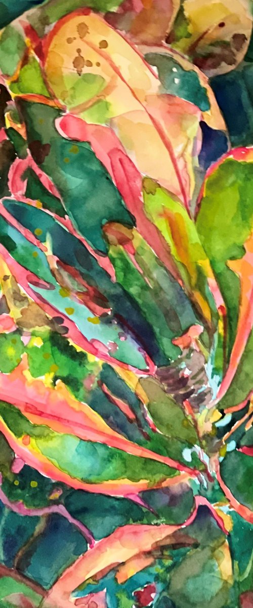 Greens and Pinks by Bronwen Jones