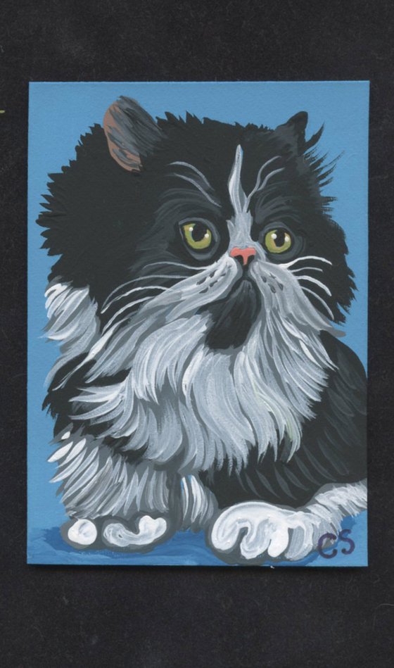 ACEO ATC Original Miniature Painting Black White Persian Tuxedo Cat Pet Art-Carla Smale