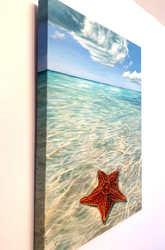 Starfish Point