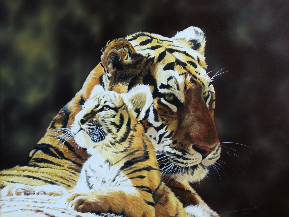 Tigress and cub by Julian Wheat