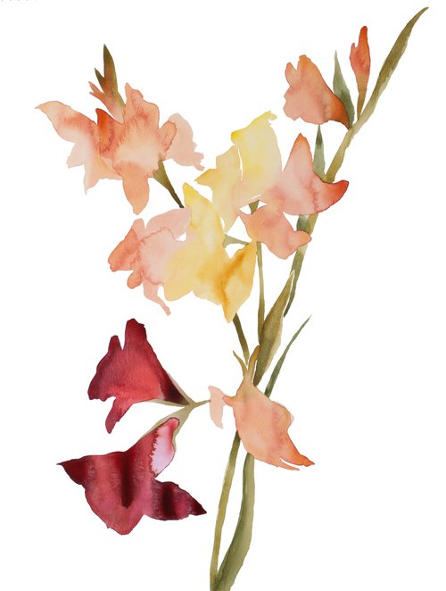 Gladiolus No. 1 by Elizabeth Becker
