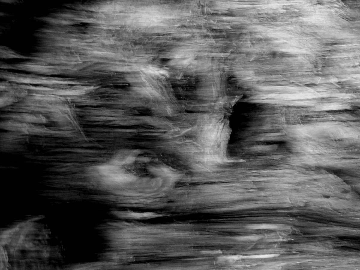 Birds and others..... by Philippe berthier