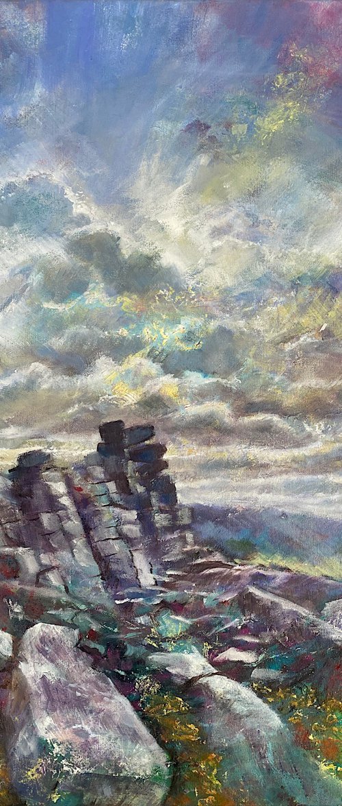 Belstone Common, Dartmoor by Daniel Loveday