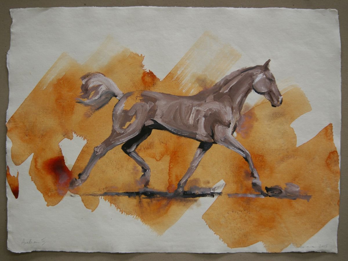Arabian III (study) by Zil Hoque