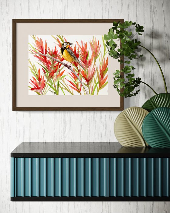 Meadowlark and Paintbrush