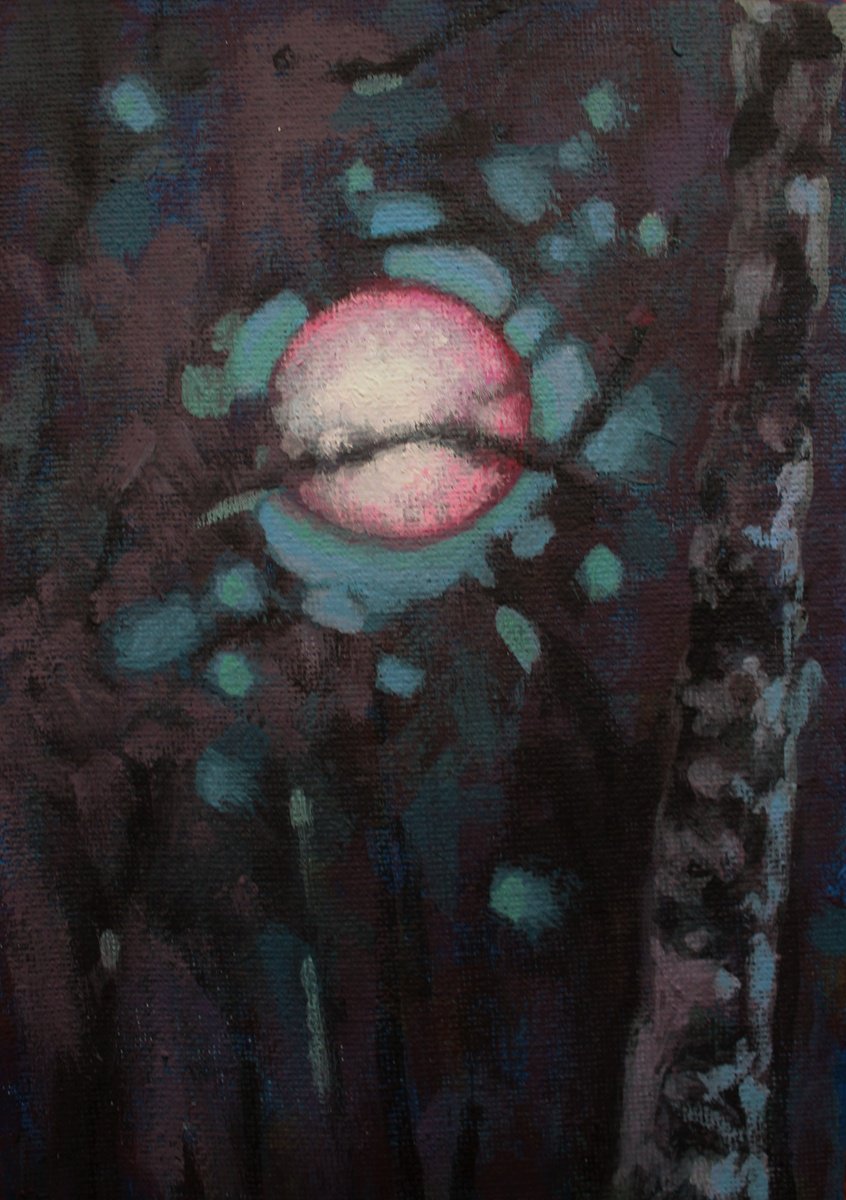 moonlight study III by Joanna Plenzler