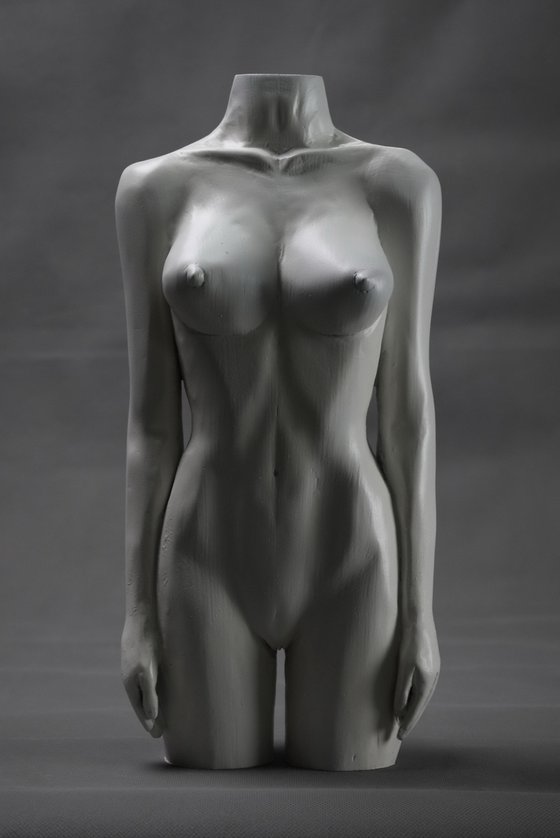 Female Torso