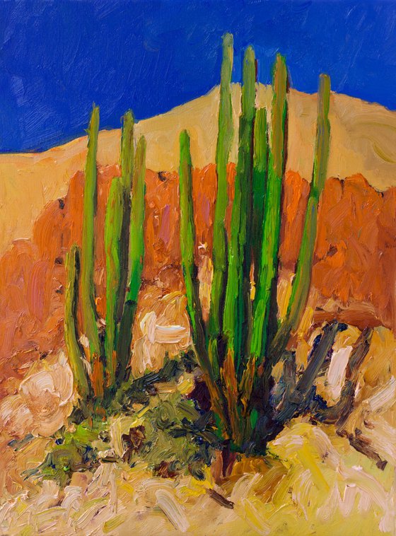 Bright Summer Day. Cactuses in the Desert.