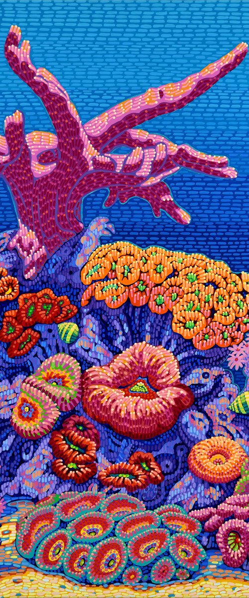 Coral Garden by Alex Nizovsky