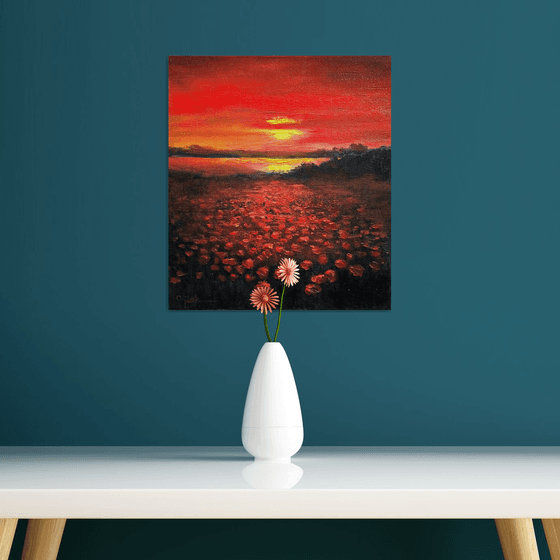 Poppy field at sunset