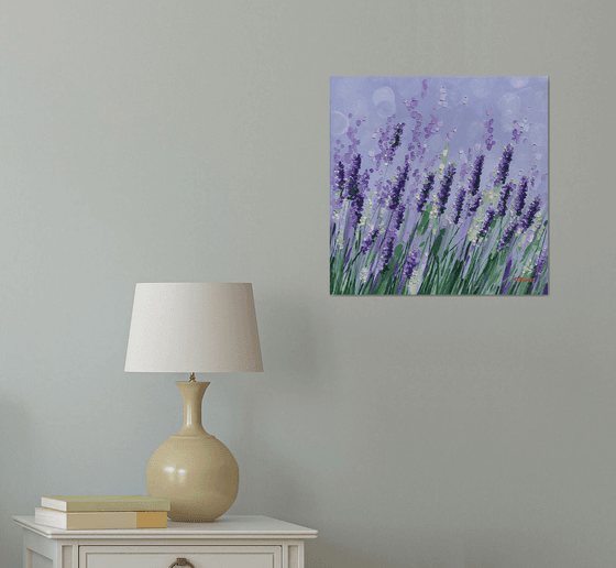 Lavender obsession