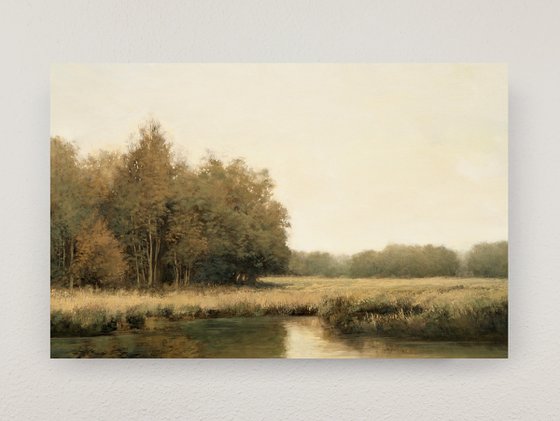 Autumn River Bank 251116