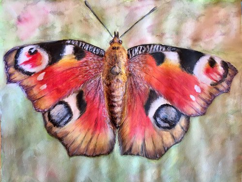 Butterfly by Ksenia Lutsenko