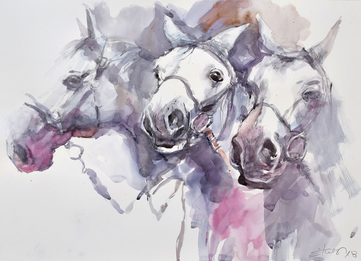 Expressive Animal Watercolour By Goran Zigolic Watercolors, 28 X 20, Three Horse Heads (70X50 ), Original Artwork
