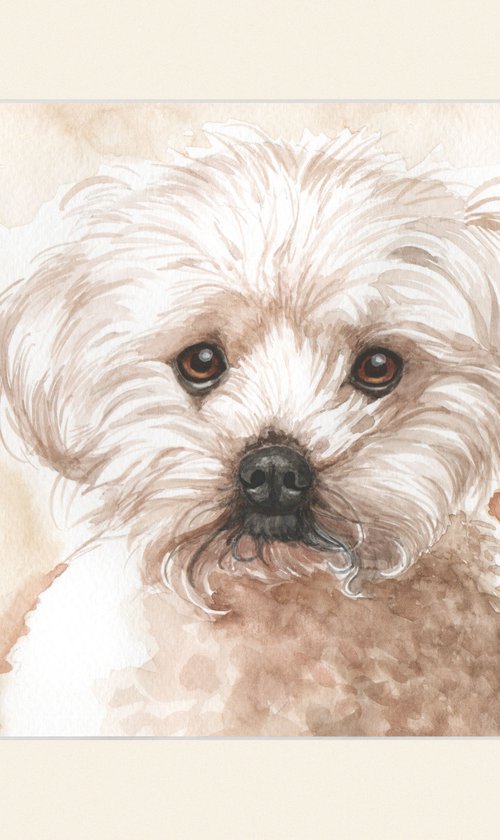 Puppy by Jolanta Czarnecka