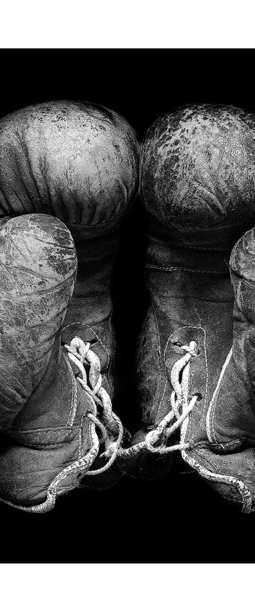 Leather Boxing Gloves (Silver Gelatin Darkroom Print) by Stephen Hodgetts Photography