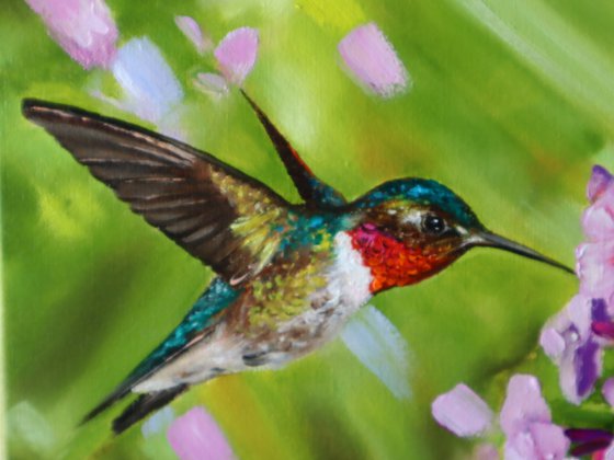Ruby-throated Hummingbird with Flowers
