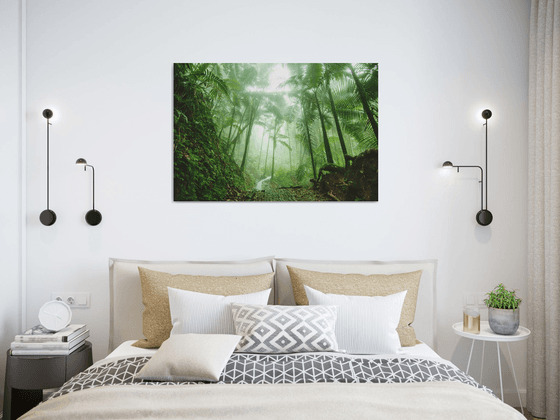 El Yunque Rain Forest