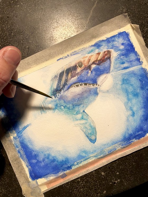 White Shark