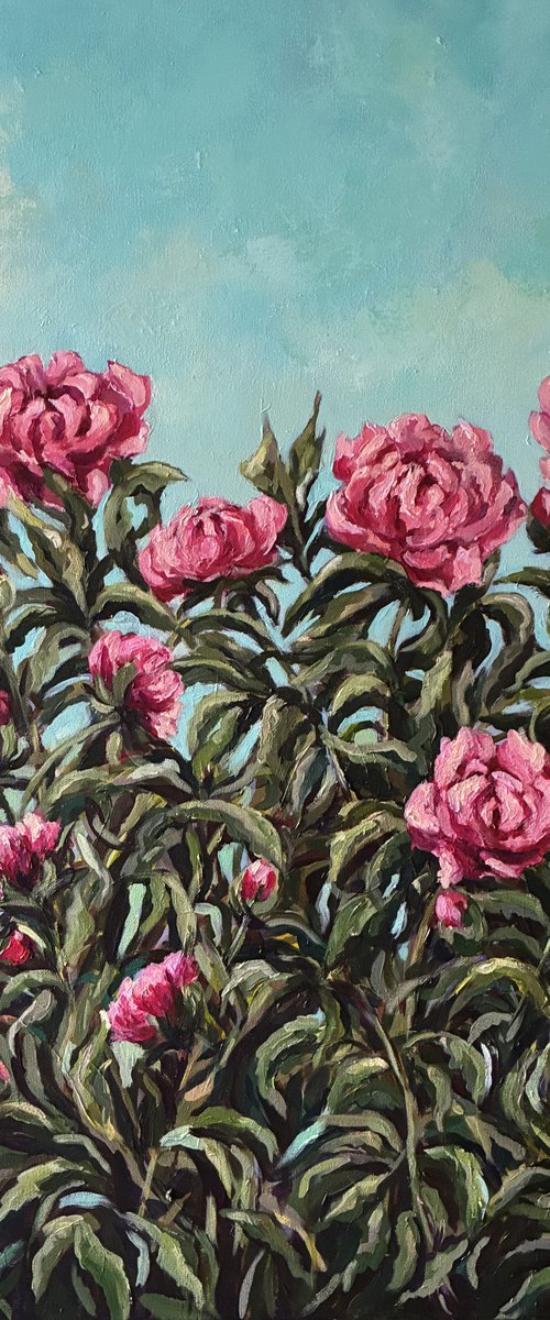 Peonies by Colette Baumback