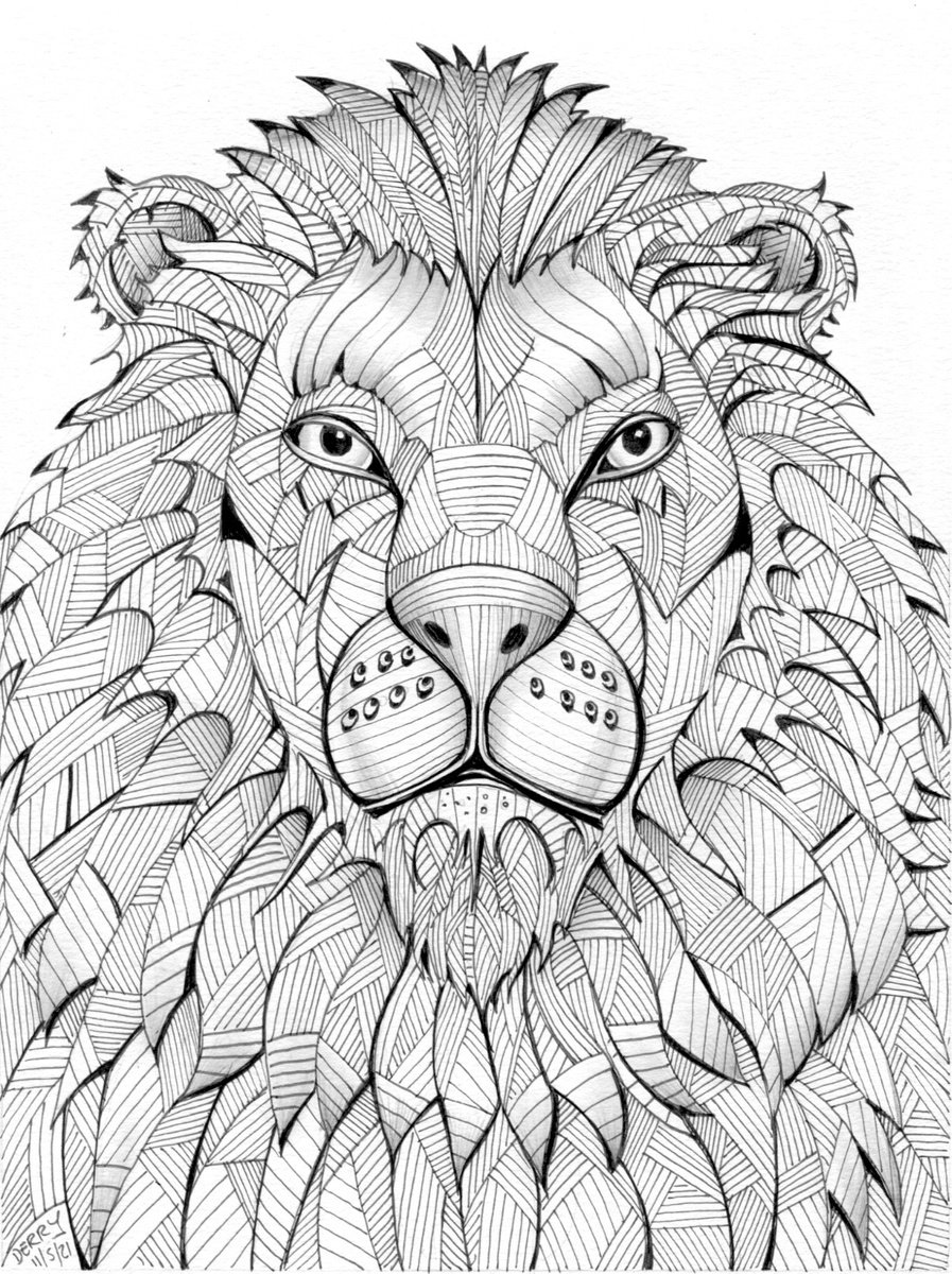 Illustrative Animal Ink Drawing By Spencer John Derry, 8 X 11", Lion, Original Artwork