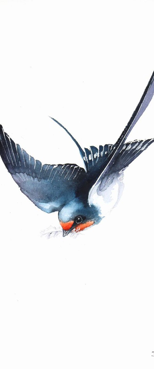 Flying Barn Swallow, 20x30cm, watercolour painting by Karolina Kijak