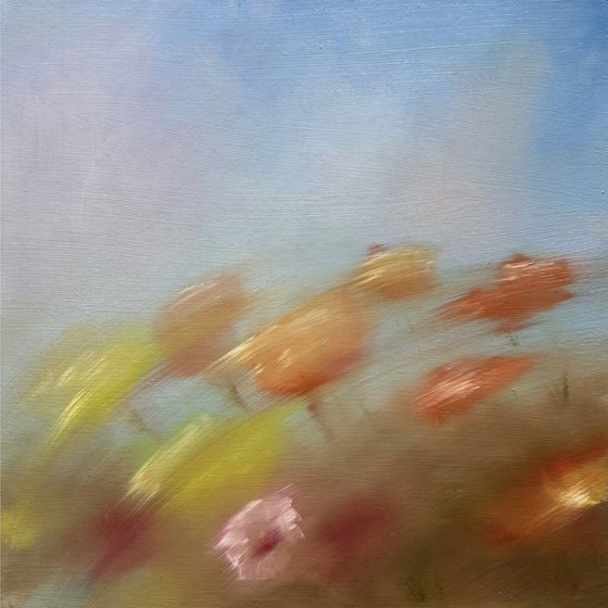 Dissolve in the poppies