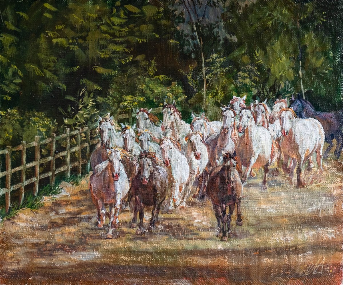 Photorealistic Animal Oil Painting By Alona Lesnichenko, 26 X 22, White Horses, Original Artwork