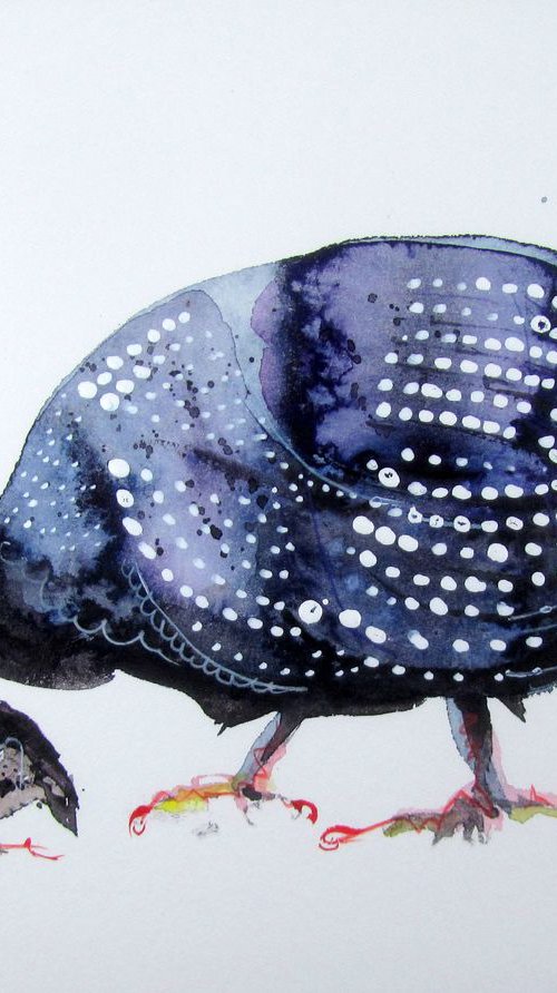 Guineafowl 4 by Violeta Damjanovic-Behrendt