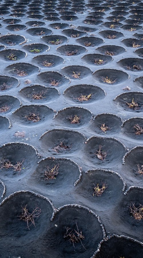 LUNAR LANDSCAPE by Fabio Accorrà