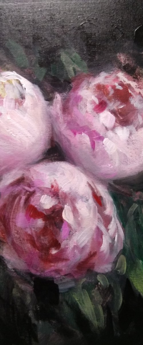 Pink Peonies by HELINDA (Olga Müller)