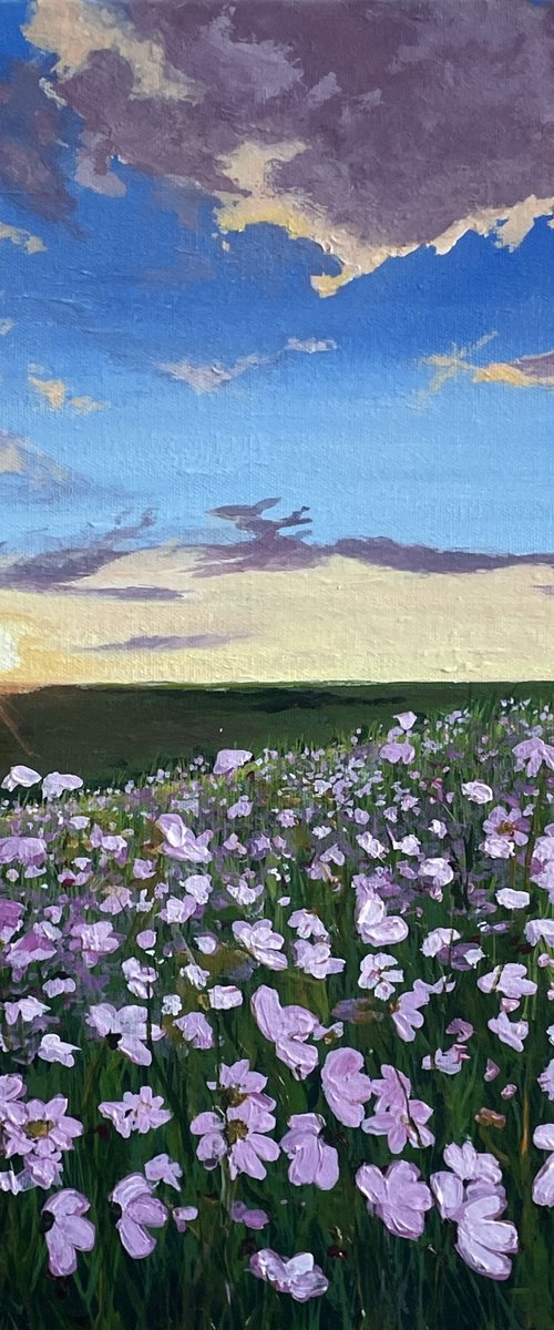 Field of Daisies by Anne Shaughnessy