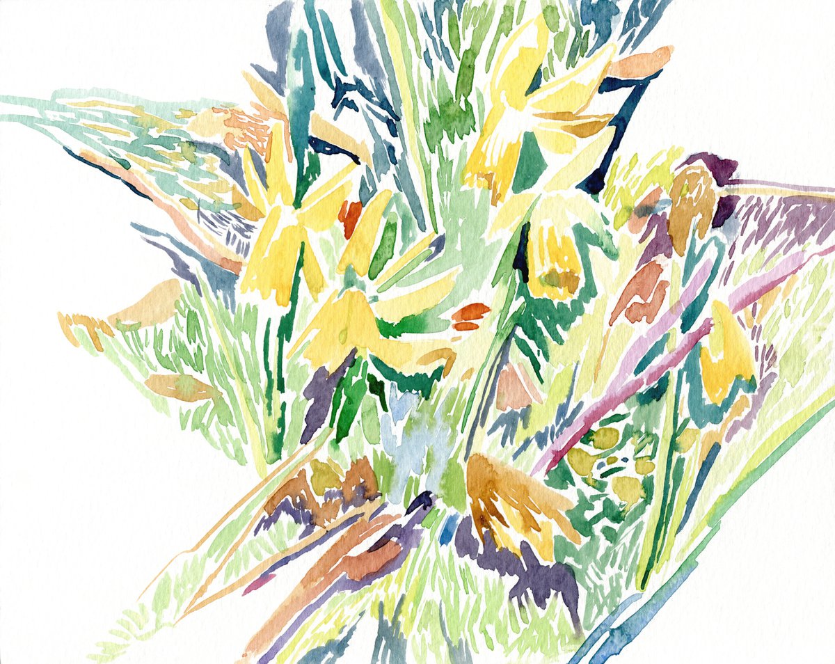 Narcissus. Watercolor by Daria Galinski