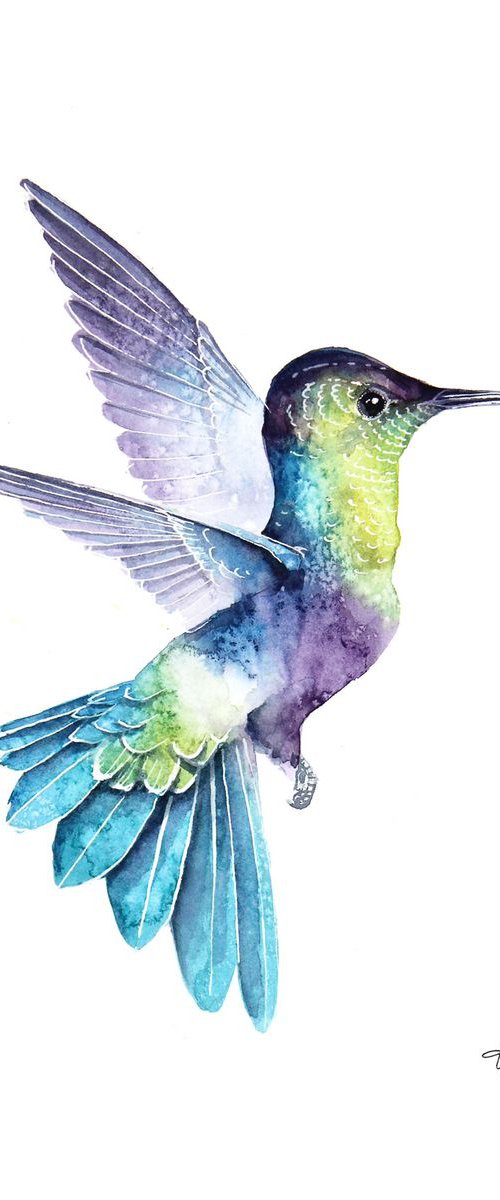 Flying Hummingbird  21x30cm, wildlife watercolours by Karolina Kijak