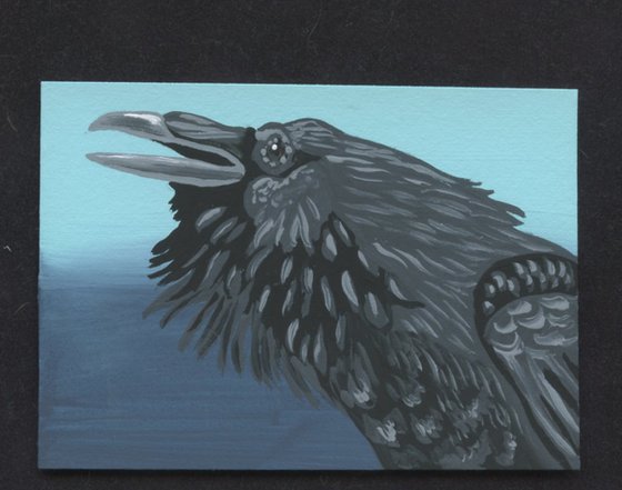 Crow Raven Bird