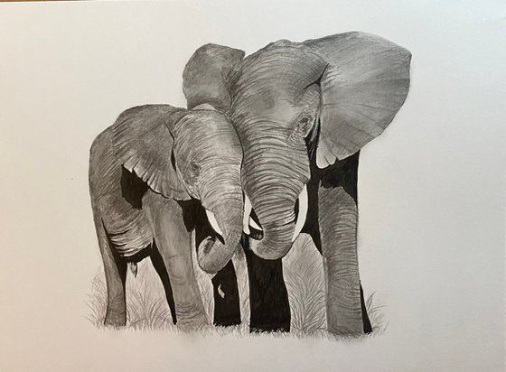 Elephants