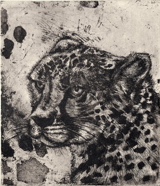 African Cheetah Etching