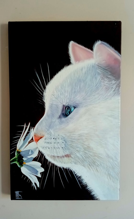 White cat