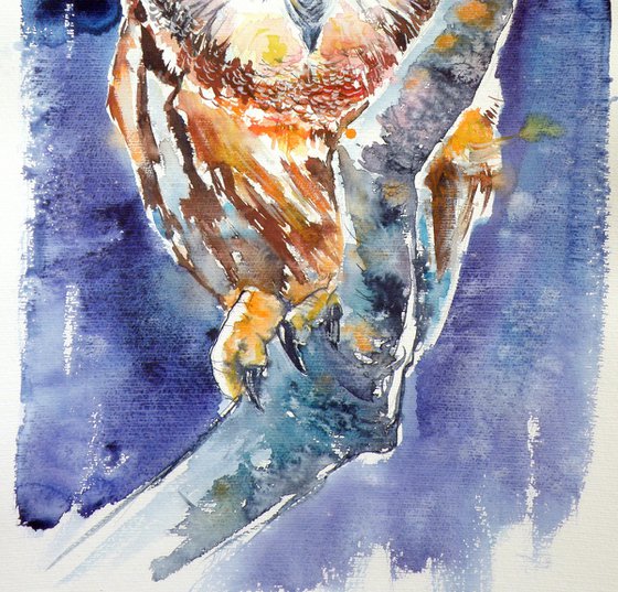 Owl at night
