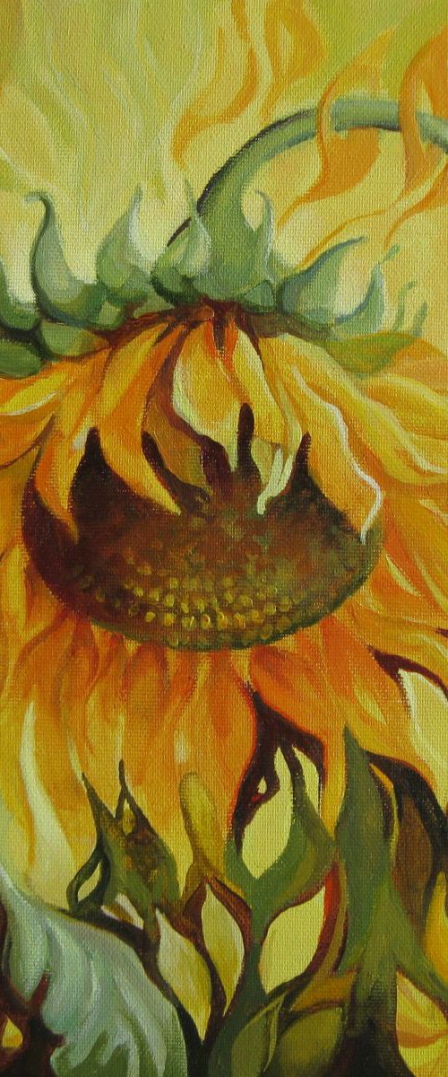 Sunflower by Elena Oleniuc