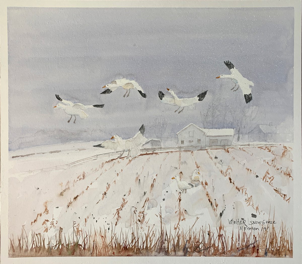 Winter Snowgeese by Michael Fenton