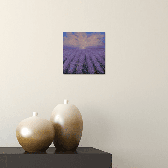 The lavender field.