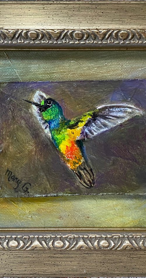 Fiery-throated Hummingbird oil painting on gessoed masonite mounted on gessoed panelboard silver gold frame 5x7 by Mary Gullette