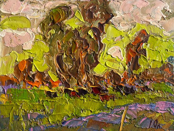 Lush meadows behind