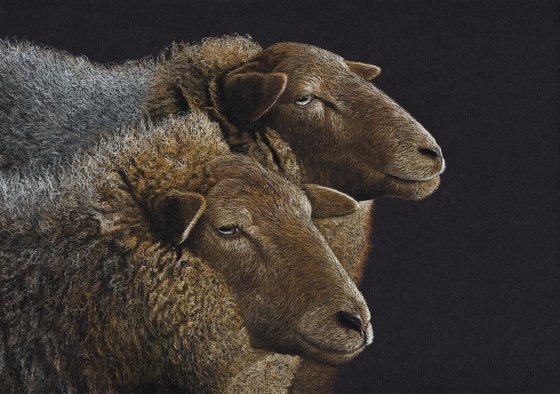 Original pastel drawing "Sheeps"