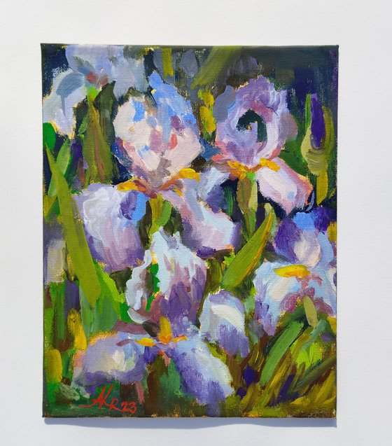 Irises