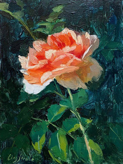 Rose Beauty #5 by Ling Strube