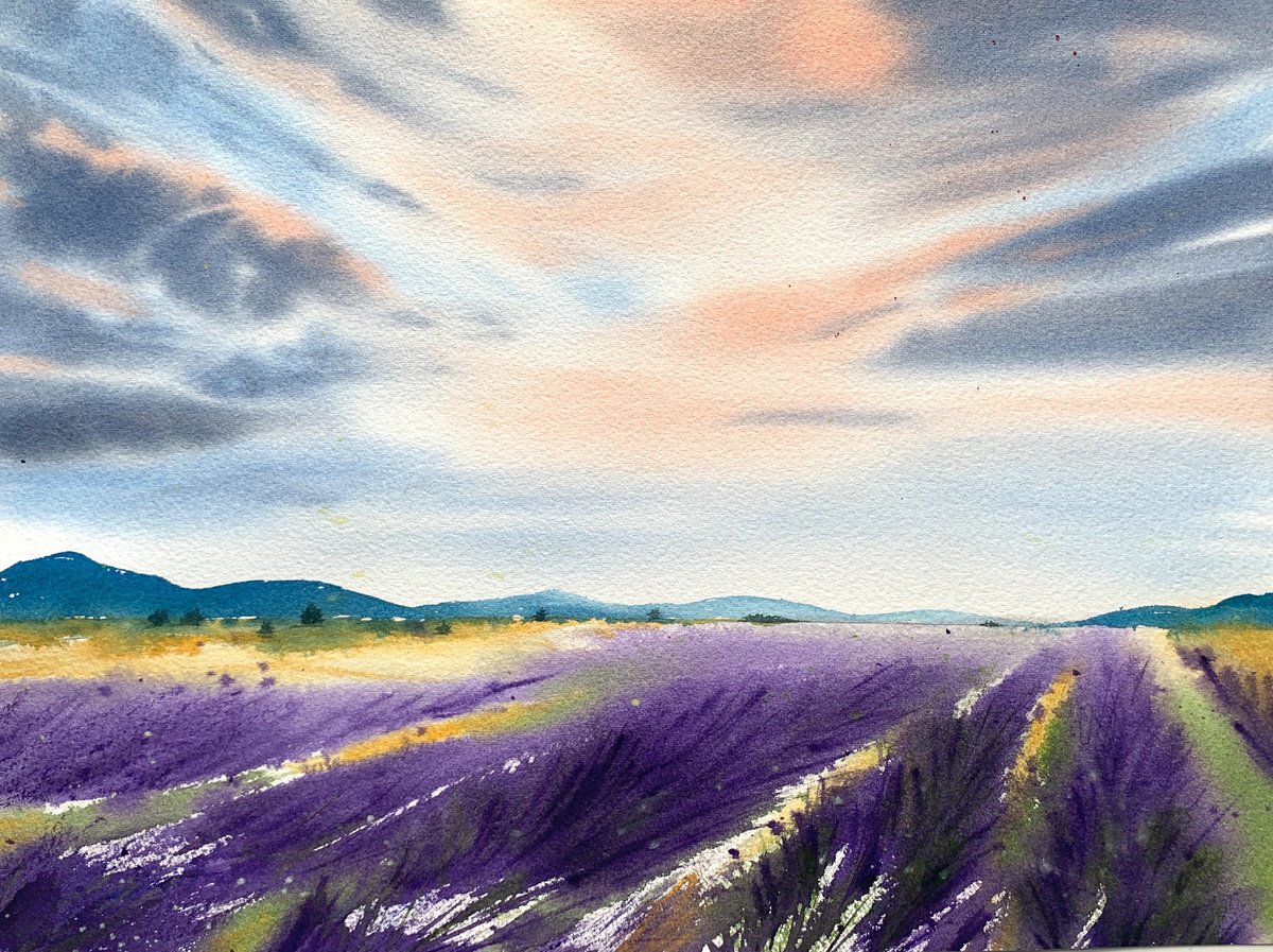 Lavender fields by Anna Zadorozhnaya