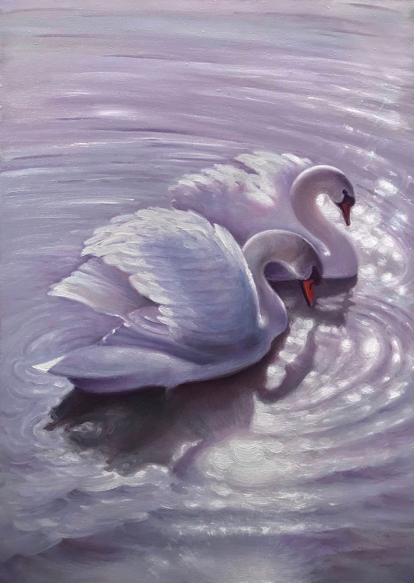 Impressionistic Animal Oil Painting By Artem Grunyka, 20 X 28, Swans, Original Artwork