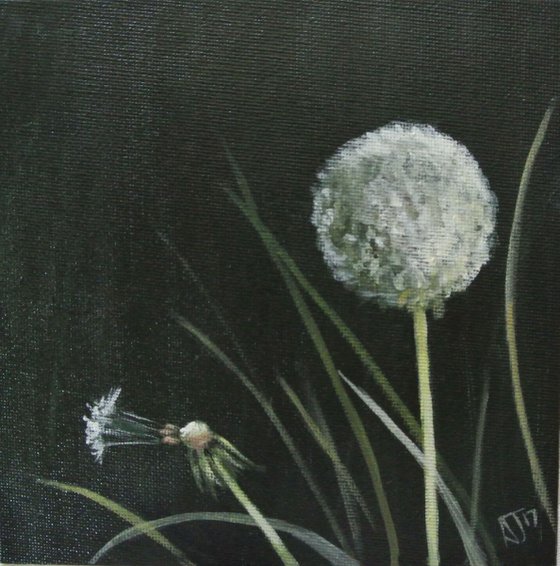 Dandelion Oil Painting 1